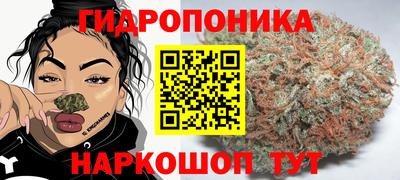бошки Гусь-Хрустальный