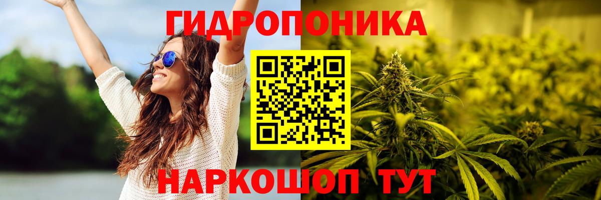 Бошки Шишки AK-47  Марихуана AK-47  Заволжье  Бошки Шишки семена  Вход с VPN 